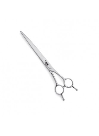 Pet Carve Scissors